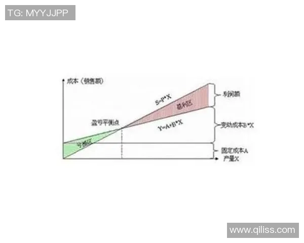 深入解析英雄联盟战术V5的运营体系与团队协作策略实时新闻